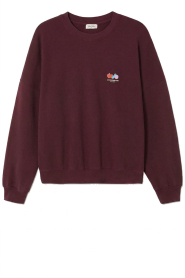 American Vintage |  Cotton sweater Atubay | burgundy | Picture 1