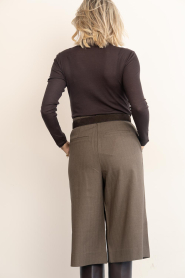 Co'Couture |  Bermuda overknee short Prestan | taupe | Picture 6