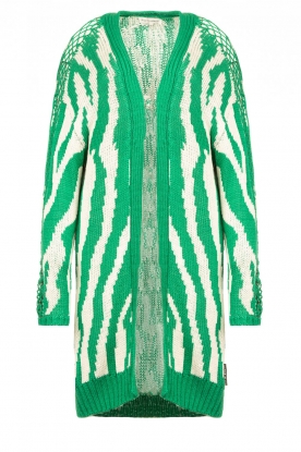 Silvian Heach |  Knitted cardigan with crochet details Illisch | green