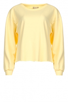 Blaumax | Cotton sweater Ash | yellow