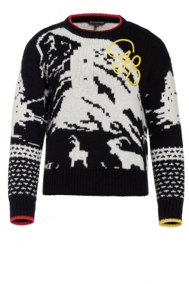 Goldbergh | Knitted sweater Rox | black
