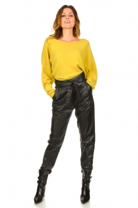 Ibana |  Leather pants Paula | black