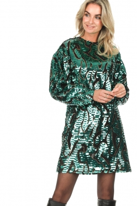 Silvian Heach | Pailletten jurk met dierenprint Masaharu | groen  