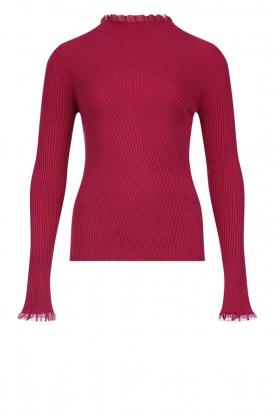 Aaiko | Ribbed turtleneck sweater Vida | pink