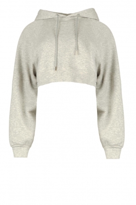 Lune Active | Cropped hoodie Katie | grey