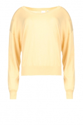 Knit-ted | Basic sweater Fayline | yellow