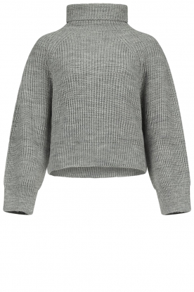 Be Pure | Knitted turtleneck sweater Freddo | grey