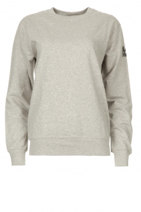 Blaumax | Sweater with logo detail Brooklyn | grey