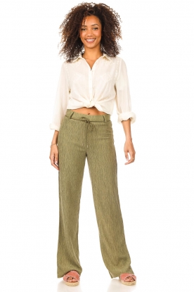 Dante 6 |  Wide trousers with pleated effect Lou | green 