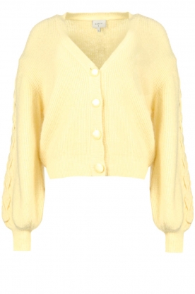 Dante 6 | Knitted cardigan Rosier | yellow