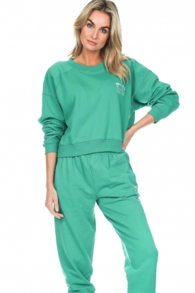 Dolly Sports |  Cropped sweater with shoulder pads Seams | green