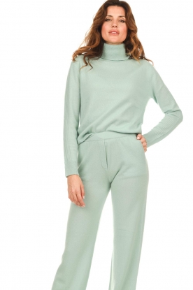 Not Shy |  Cashmere turtleneck sweater Laurene | green