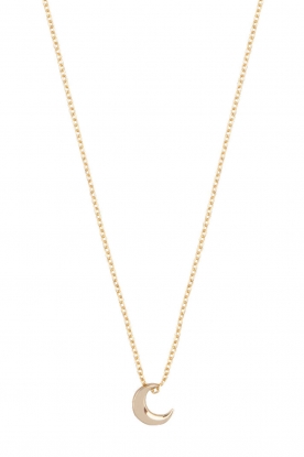 Just Franky |  14k gold necklace Moon | yellow gold