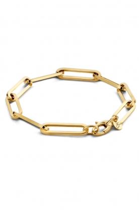 Just Franky | 14k gold chain bracelet Charm | gold