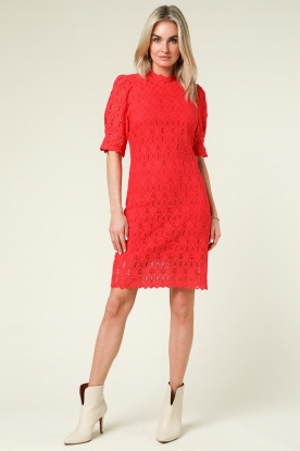 Look Lace mini dress Marley