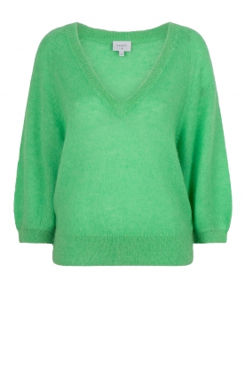 Dante 6 | V-neck alpaca sweater Rhoda | green