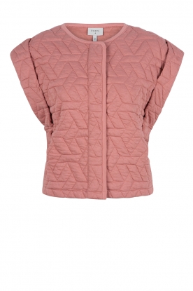 Dante 6 | Quilted waistcoat | pink Terrey