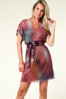Dante 6 |  Transparent dress Luster | multi