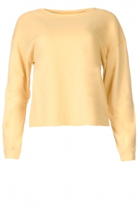 Blaumax | Soft sweater Ash | yellow