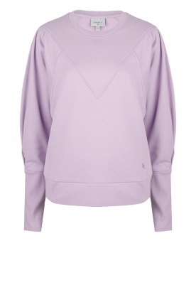 Dante 6 |Sweater Beau | paars