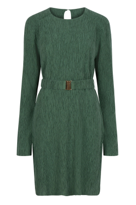 Dante 6 |  Plisse dress in tencell blend Anour | green 