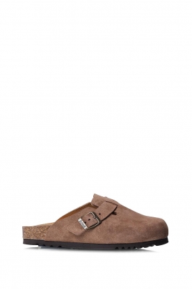 Scholl |  Suede sandals Fae | taupe 