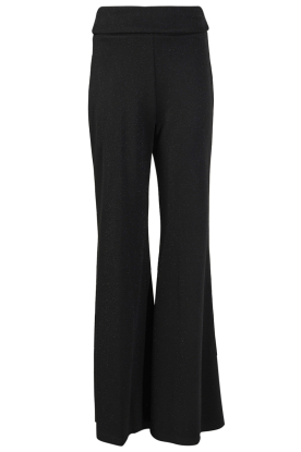 D-ETOILES CASIOPE |Lurex tricot broek Fine | zwart