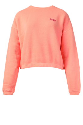 American Vintage |Sweater met logo Izubird | oranje