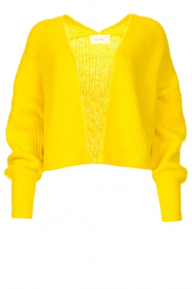 American Vintage | Knitted cardigan East | yellow