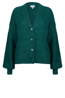 Dante 6 | Knitted cardigan Mitsey | green