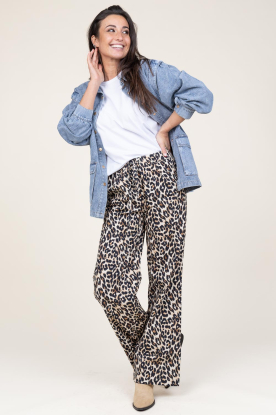 Lollys Laundry |  Leopard pants Rita | animal print
