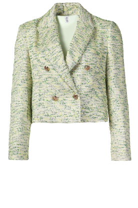 Liu Jo | Jacquard blazer with lurex Carmine | green