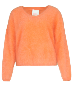 Absolut Cashmere | Soft cashmere sweater Soeli | orange