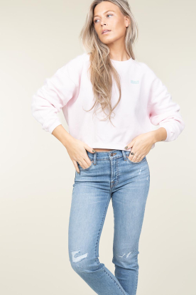 American Vintage | Zachte fleece sweater Izubird | roze