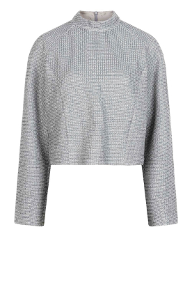 Dante6 |  Metallic top Therel | silver 