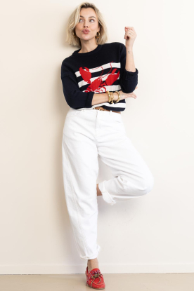 Look Striped sweater with print Sol