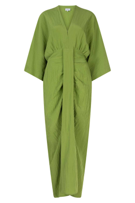 Dante6 | Viscose jurk Bradshaw | groen 