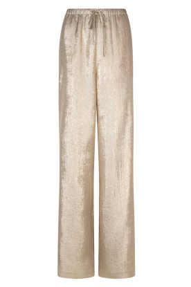Dante6 |  Metallic trousers Ido | metallic 