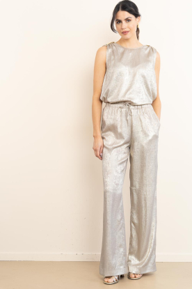 Look Metallic trousers Ido
