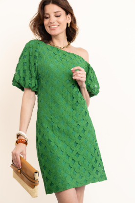Aaiko |  Jacquard mini dress Doutzen | green 