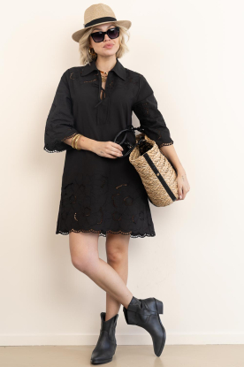Look Mini dress with embroidery Millea