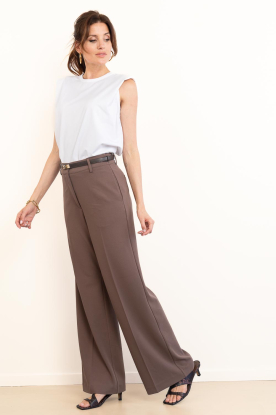 Look Trousers with pleats Falcon