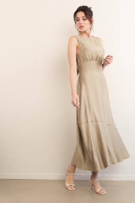 Aaiko |  Shiny midi dress Michelle | green 