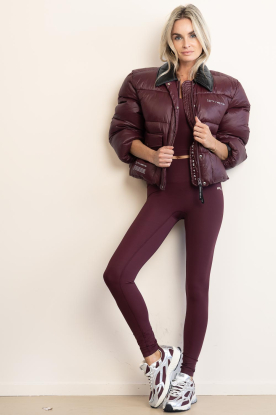Mercer |  The Re-run Pine | burgundy 