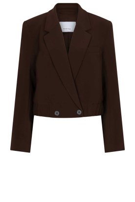 Dante6 |  Cropped blazer Reilley | brown 