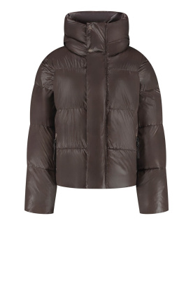 Deblon | Puffer jas Selma | bruin 