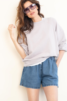 American Vintage |  Zachte sweater Atubay | purple  