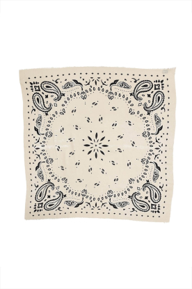 BOW19 | Sjaaltje met print Paisley | naturel 